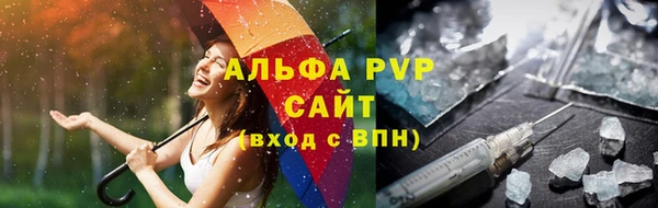 spice Новодвинск
