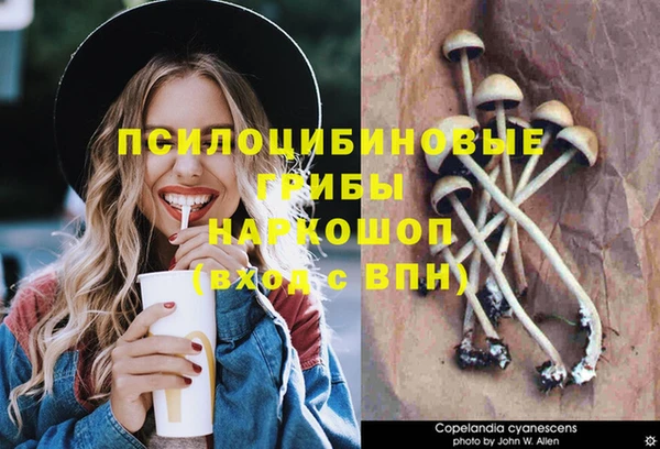 spice Новодвинск