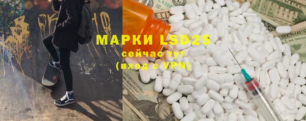 spice Новодвинск