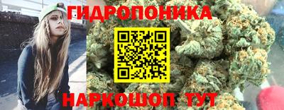 дмт Краснодар