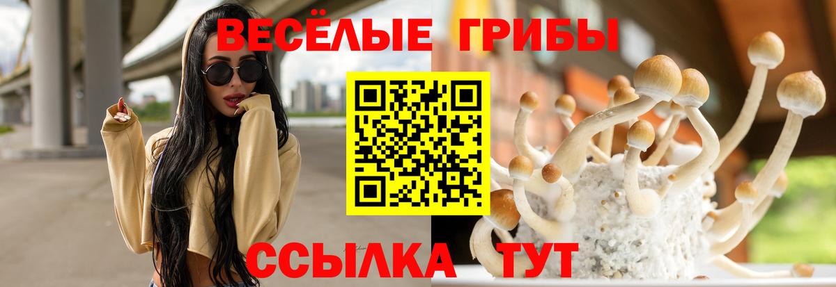 Псилоцибиновые грибы MAGIC MUSHROOMS  Псилоцибиновые грибы прущие грибы  Южно-Сахалинск  Вход с VPN 